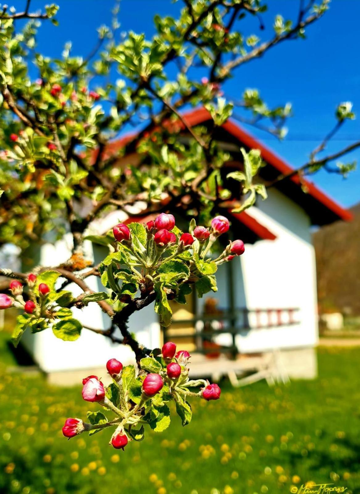 Kosta'S Romantic House Plav Bilik gambar